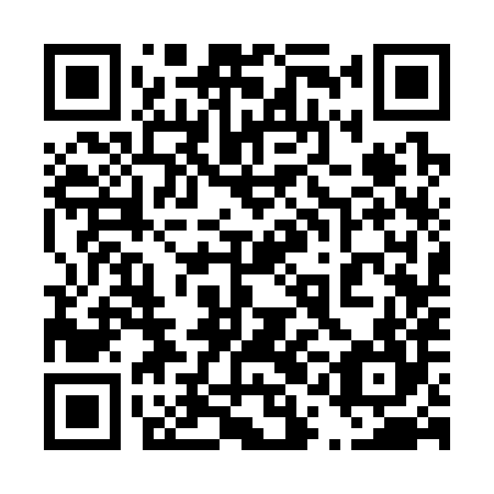 QR code for plate 41C 384