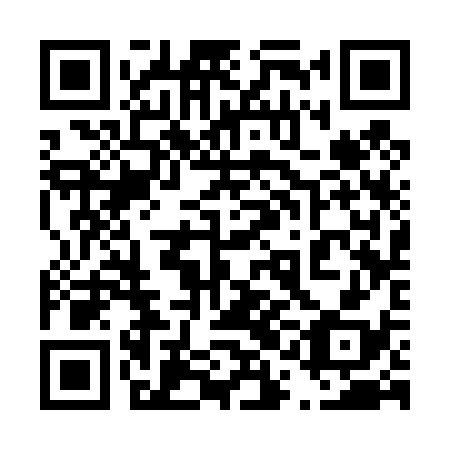 QR code for plate 41C 438