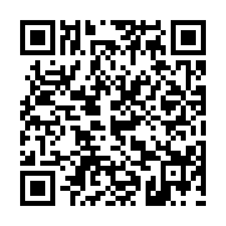 QR code for 41D319