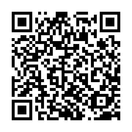 QR code for 41D388