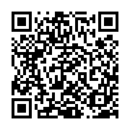 QR code for plate 41D 553