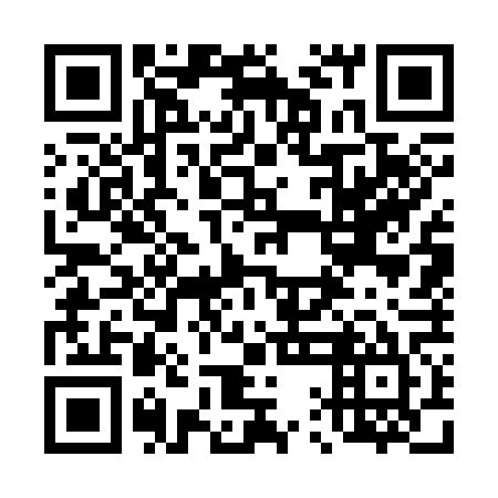QR code for 41G365