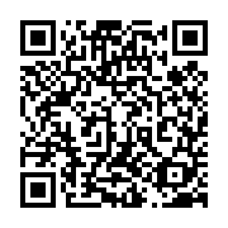 QR code for 41G449