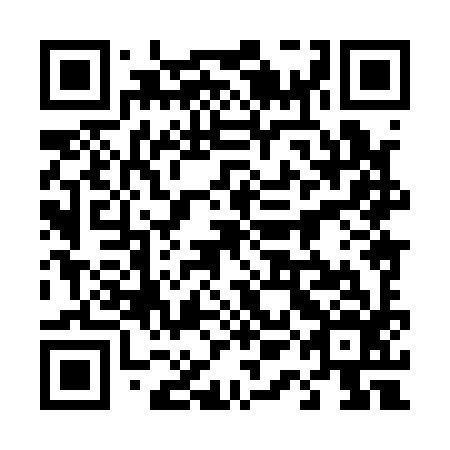 QR code for plate 41H 196