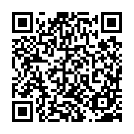 QR code for plate 41J 707