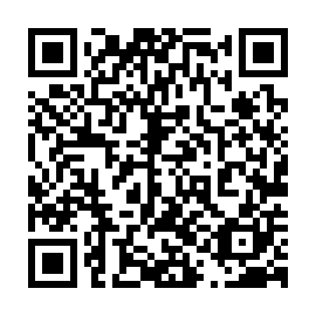 QR code for plate 41L 300