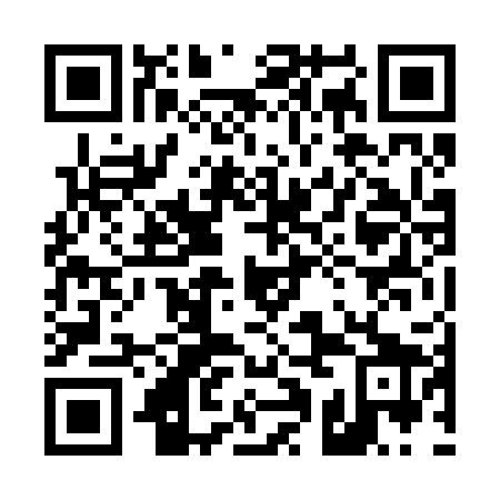 QR code for plate 41N 229