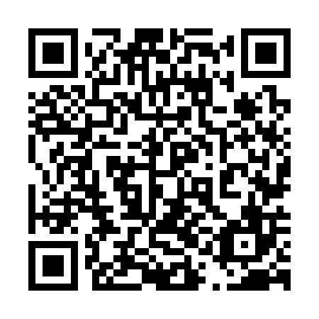 QR code for 41N306