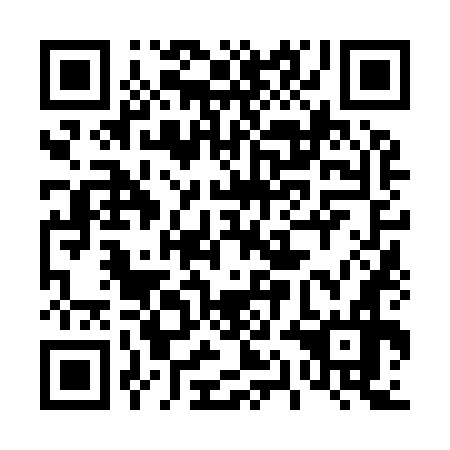 QR code for 41N976
