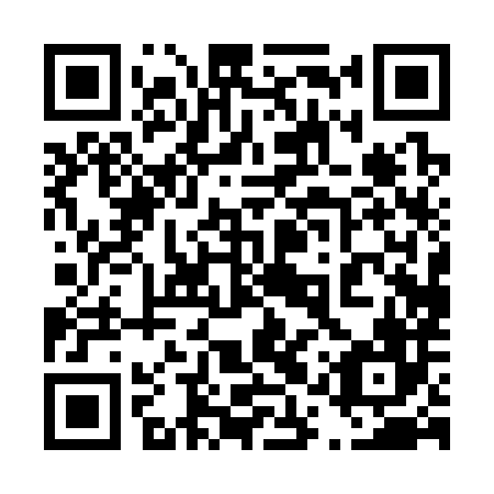 QR code for 41P 386