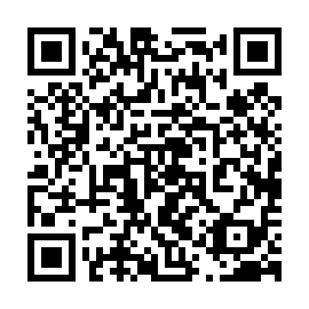 QR code for 41P 419