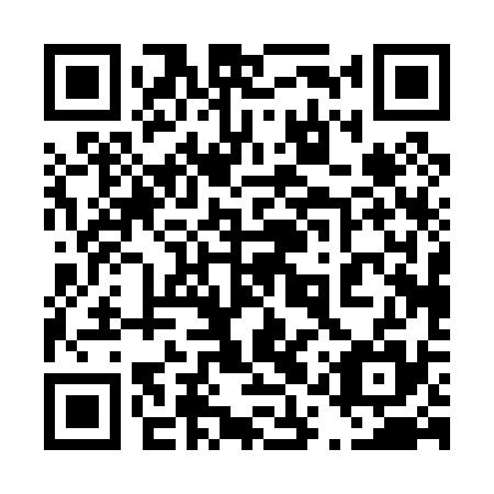 QR code for plate 41P 035