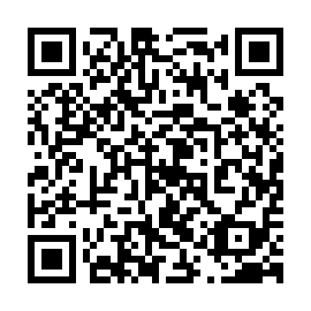 QR code for plate 41Q 119