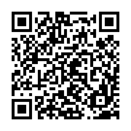 QR code for plate 41R 496
