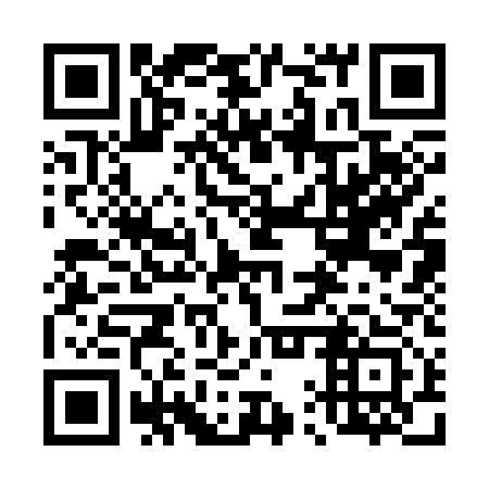 QR code for 41S 313