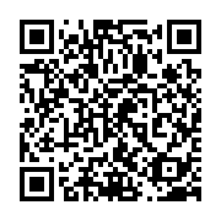 QR code for plate 41S 339