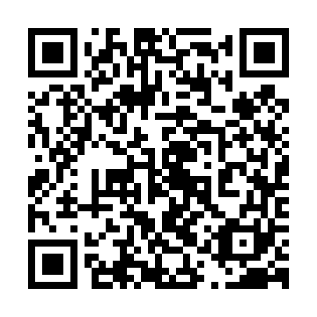 QR code for plate 41S 461