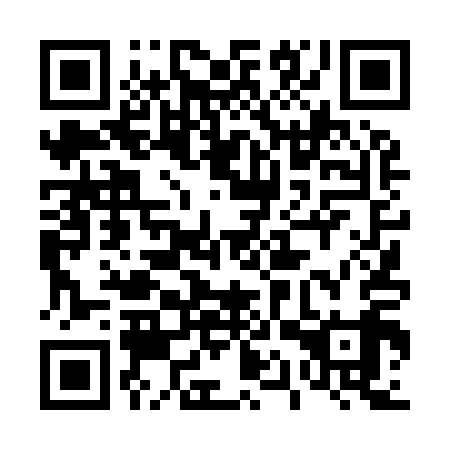 QR code for 41T 919