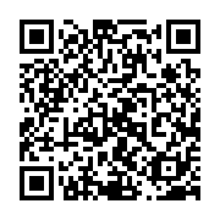 QR code for plate 41T 311