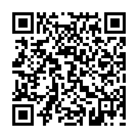 QR code for plate 41T 602