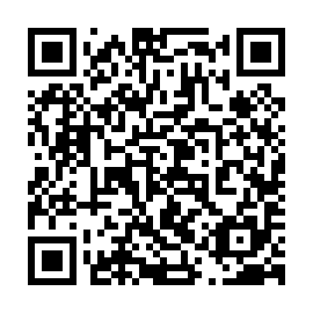 QR code for plate 41V 095