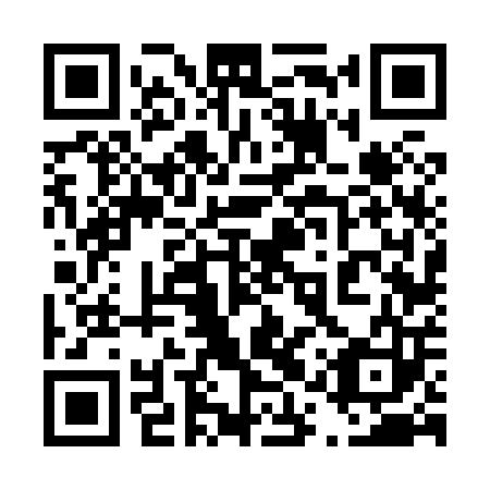 QR code for plate 41V 803