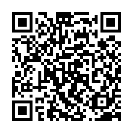 QR code for plate 41Y 510