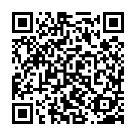 QR code for 41Z509