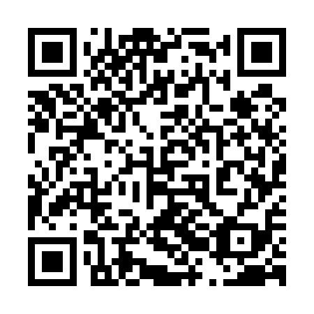 QR code for plate 42G 519