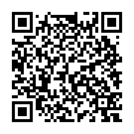 QR code for 42N333