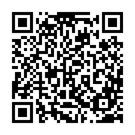 QR code for 42P246