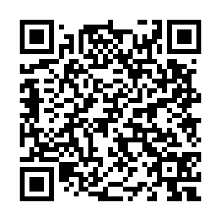 QR code for 42P534