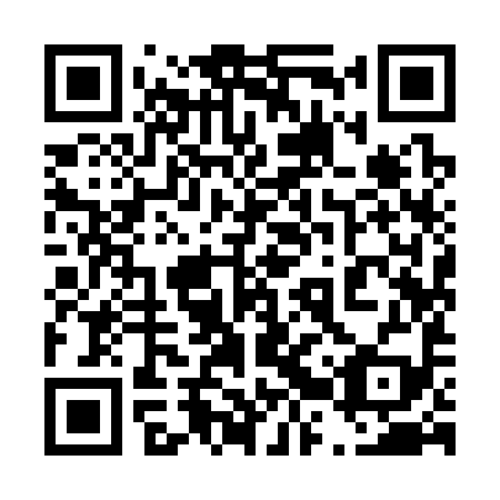 QR code for plate 42Y 399