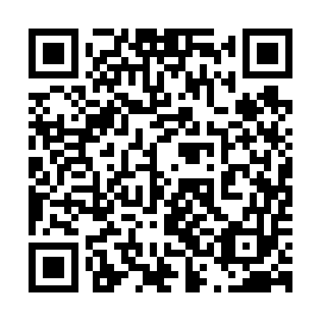QR code for plate 43A 653