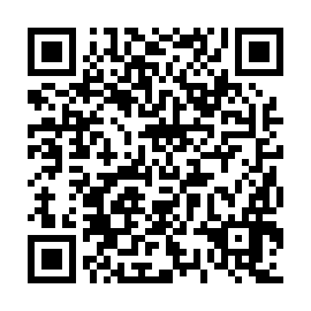 QR code for plate 43B 096