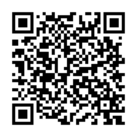 QR code for plate 43E 125