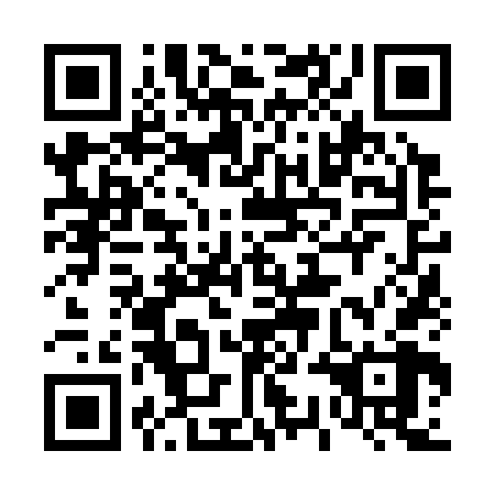 QR code for plate 43N 368