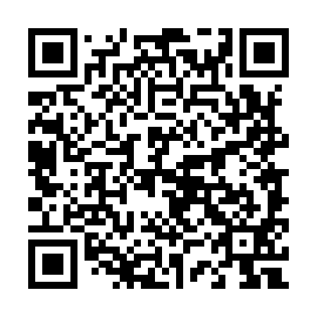 QR code for 43T 991