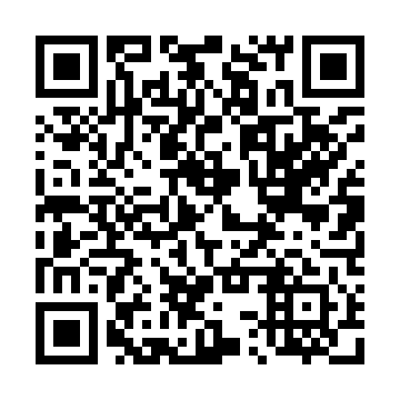 QR code for plate 43T 941
