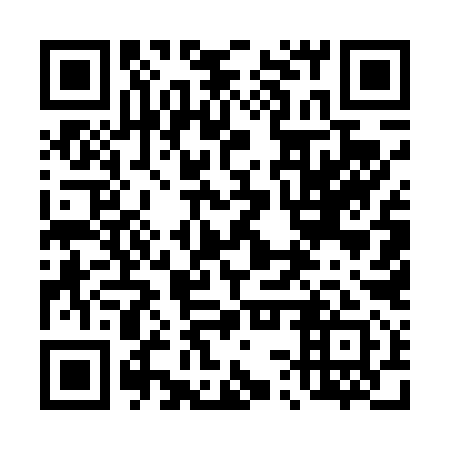 QR code for plate 43U 491