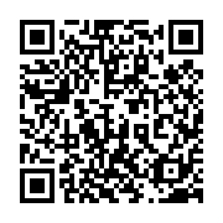 QR code for 43V411