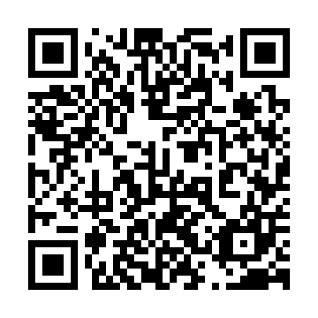 QR code for plate 43W 307