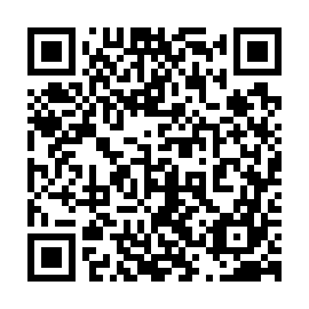 QR code for plate 43W 767