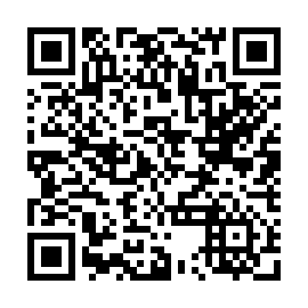 QR code for plate 45G 356