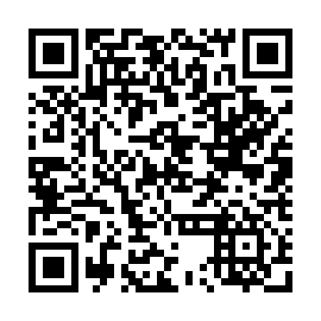 QR code for plate 45G 517