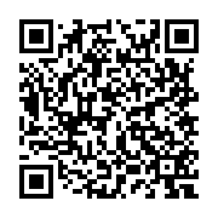 QR code for plate 45J 951