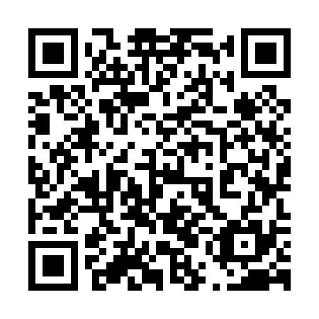 QR code for plate 45K 035