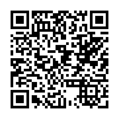 QR code for plate 45L 663