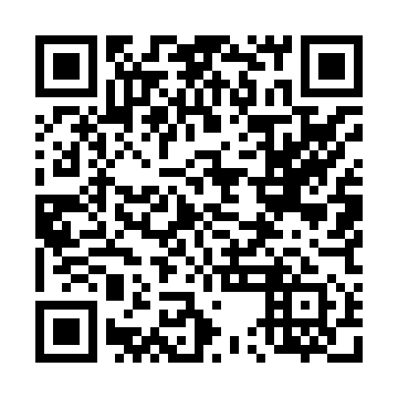 QR code for plate 45M 851