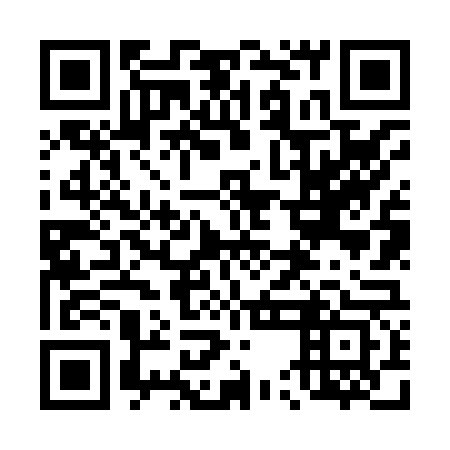 QR code for plate 45N 863